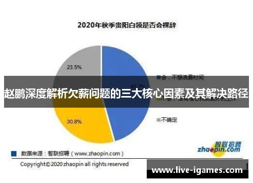 赵鹏深度解析欠薪问题的三大核心因素及其解决路径