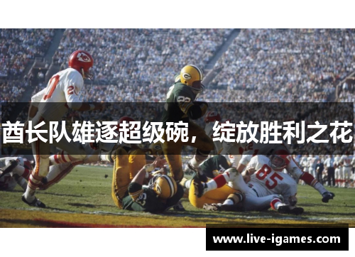 酋长队雄逐超级碗,绽放胜利之花 酋长队雄逐超级碗,绽放胜利之花