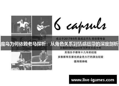 魔鸟为何依赖老马探析：从角色关系到情感纽带的深度剖析