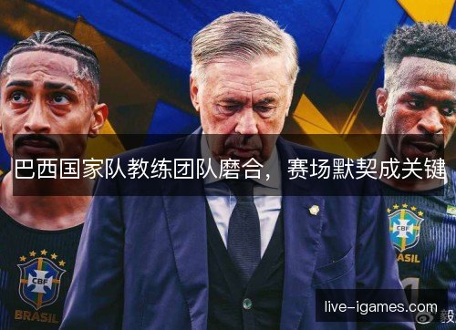 巴西国家队教练团队磨合,赛场默契成关键 巴西国家队教练团队磨合,赛场默契成关键